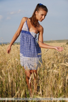 Last Days Of Summer