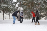 Miroslav, Filip, Iveta, Valerij