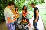 Violla, Rosa, Laska, Gregor, Filimon