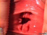 Amateur Pussy Masturbation