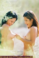 lively girls