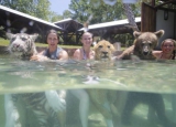 bear and girl