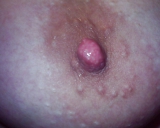 Bulgarian Teen 56