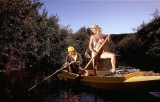 GINGER LYNN 1