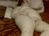 ex-wife