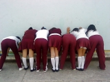 Culitos