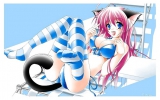 Catgirls!