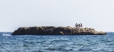 Platja de la Solsida (Isla de Altea, Alicante, Spain) 2013