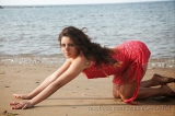 Seniha kanatli
