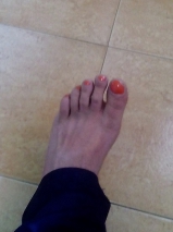 Fresche fresche , di giornata