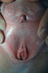 Slut wife hardcore fucking sucking a stranger closeup pussy