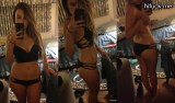 Random busty babes collection