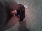 all my pic from past to today