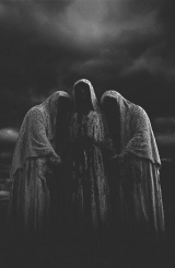 Porkodio e puttanamadonna - Porkgod and slutmotherofgod