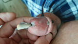 playing with cigarette on my cock