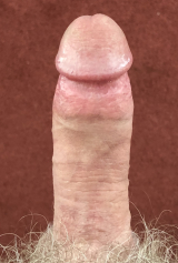Meine Penis schwanz bilder im internet