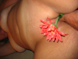 april flowers