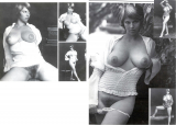 Hairy pretty women on retro porn pics 4!