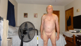 Miscellaneous pics