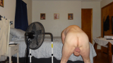Miscellaneous pics