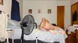 Miscellaneous pics