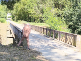 je suis nu et offert sur un pont