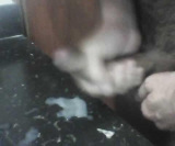 Sexo y semen rico