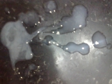 Sexo y semen rico