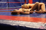 The struggle for domination