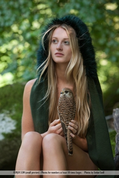 Ladyhawke - N