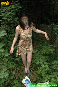 In the woods - N