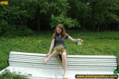 Park bench pee - N