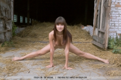 Dairy Farm - N