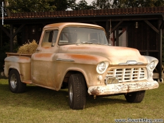 Lone Star Savanah Gold - N