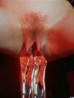 Rud's Pussy Solvation 4 - N