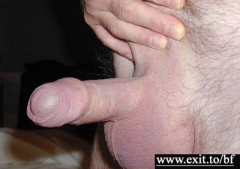 Amateur gay Boyfriends in private home porn - N