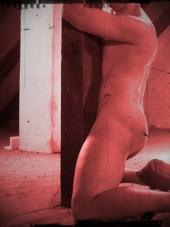 Lascivious Male Slave - N