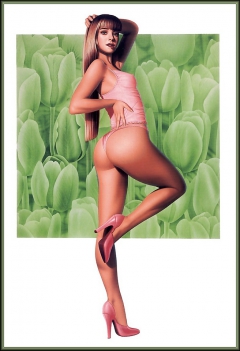PinUp und Zeichnungen - N