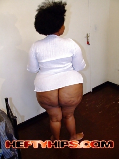 African asses - N