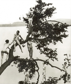 Vintage 18 (1850-1920) - N