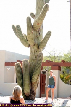 ftv girls precious girls ftvgirls - N