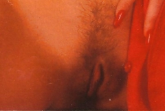 Linda Dubbeldeman - N