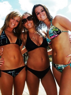 Facebook pig - bikini sluts 3 - N