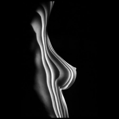 Lights (COLLECTION) - N