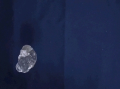 GiFs 1434 - N