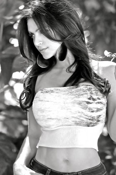 Amorica - N