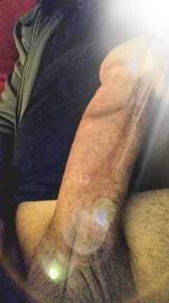 hard cock - N