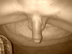 my cock - N