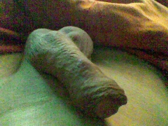 lecker - N