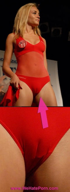 pic turmix - N